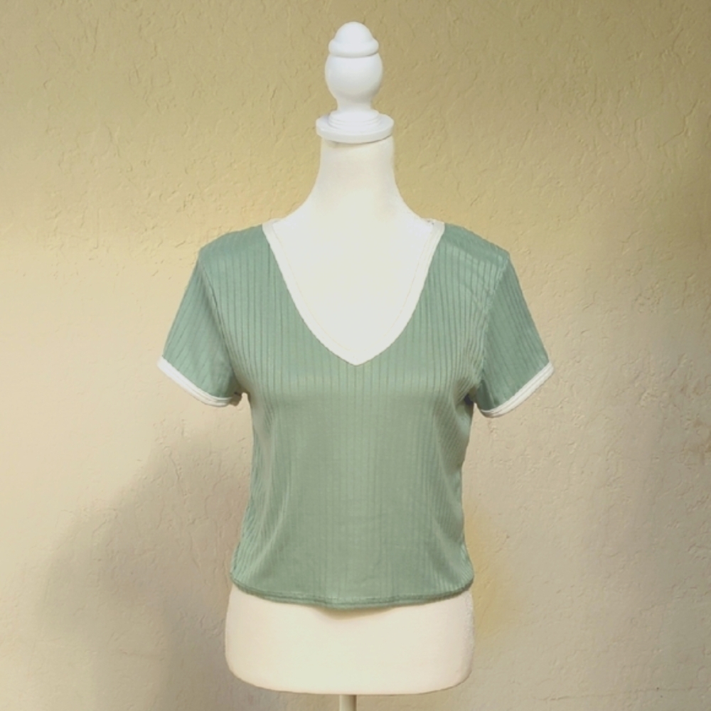 Olivia Rae Sage Crop V-Neck Ribbed Short Sleeve Tee with Cream Trim Size Small